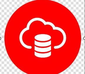 Oracle DataBase Administrator